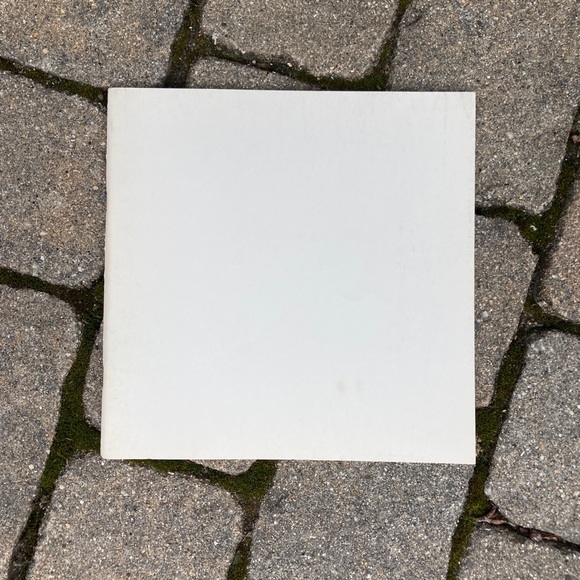 1972 The Quest for Fossil Man Education Development Skull Skeleton Sciences - Picture 11 of 11